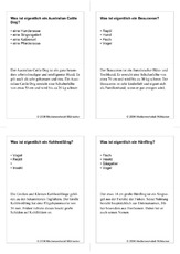 Quiz-Karten-Tiernamen 80.pdf